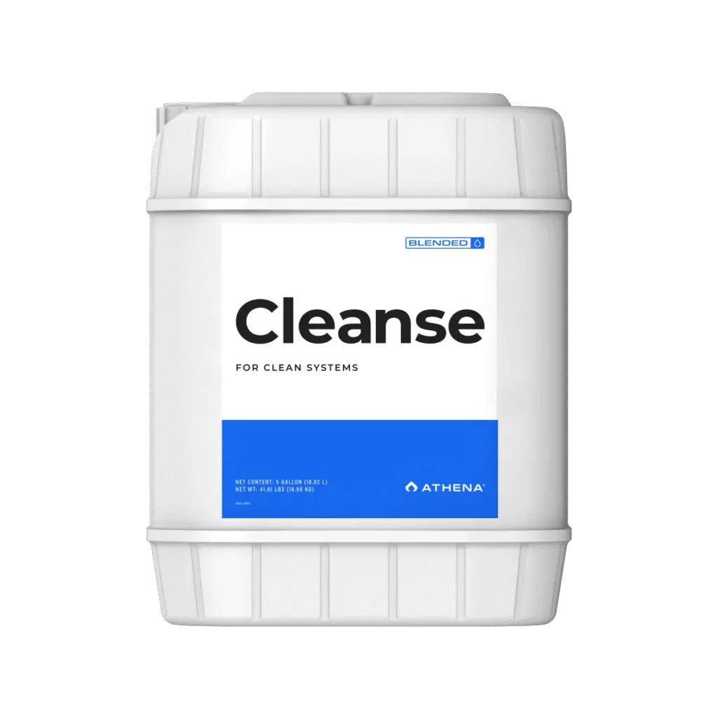 Cleanse_5G_Front-1024x1024.webp